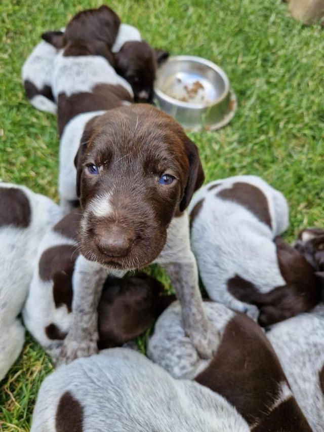 Photo from news post