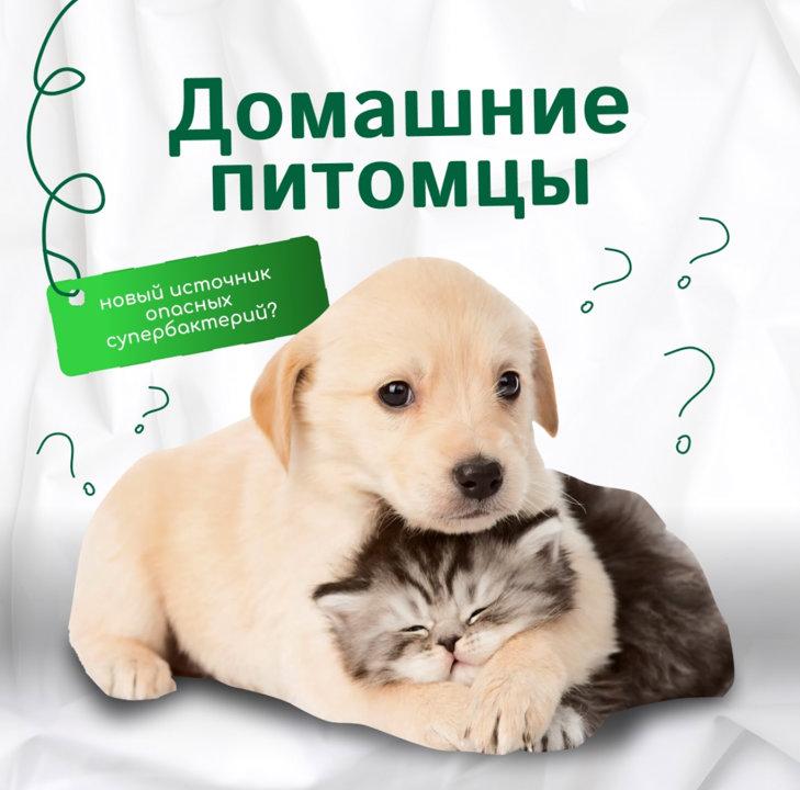 Photo from news post