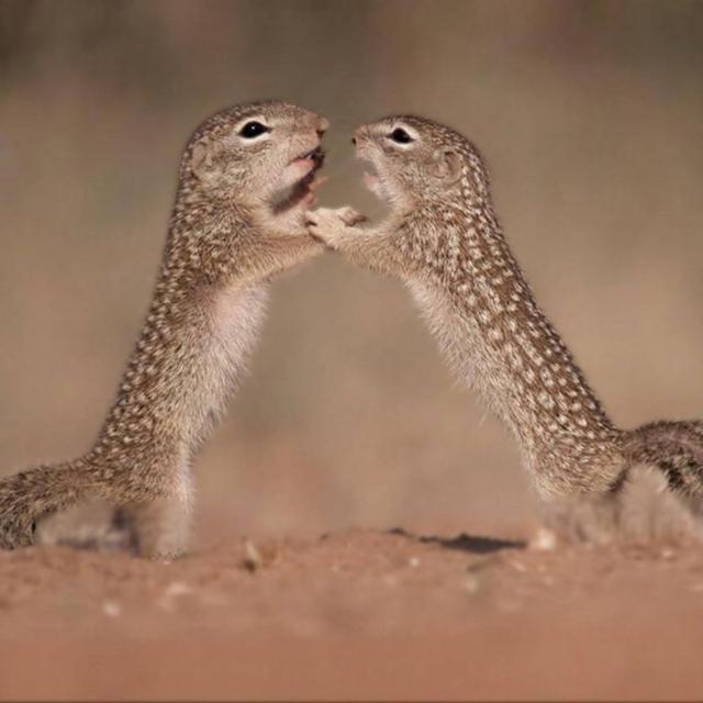 Photo from news post