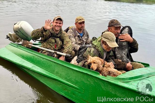 Чемпионат спаниелей «Бердыж-2025»: как Беларусь определила Полевого Чемпиона по болотной дичи 🐾