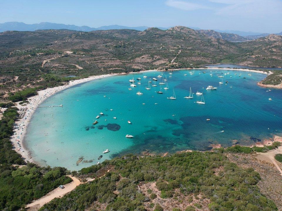 Chasse en CORSE-DU-SUD: Votre Guide Complet sur la Faune Sauvage, les Saisons de Chasse Idéales et les Faits Marquants