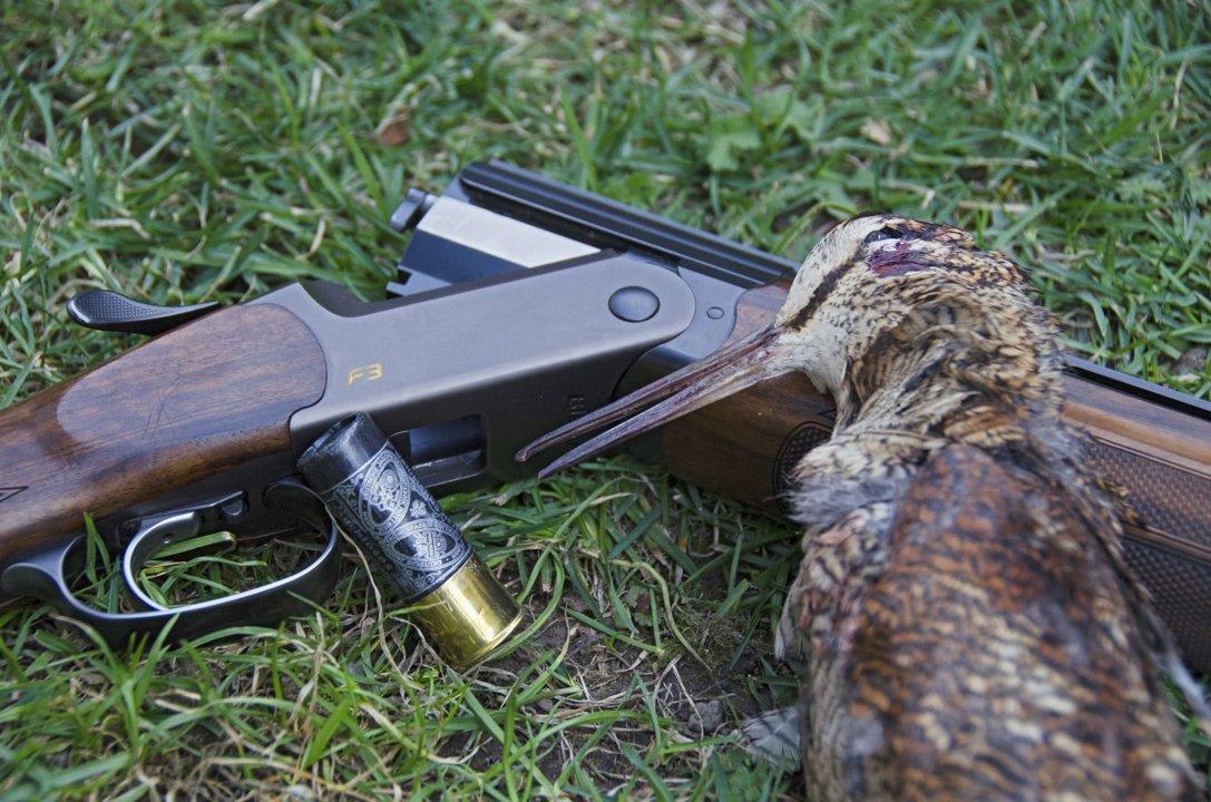 Jagd im Bezirk Luzern-Stadt (Kanton Luzern), Schweiz: Merkmale, Demografie, Bevölkerung, Jagdmethoden, Clubs, Wildarten, Jagdsaisons, Vorschriften und Traditionen