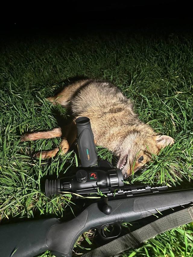 Photo from news post
