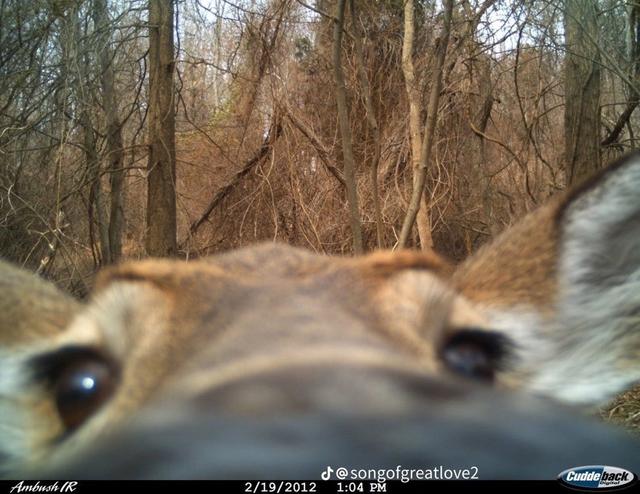 Photo from news post
