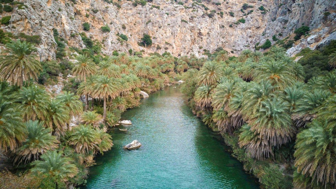 Pursuits Across the Plateaus of GAFSA: Hunting Seasons, Laws and Legislation, Demographics of Hunters