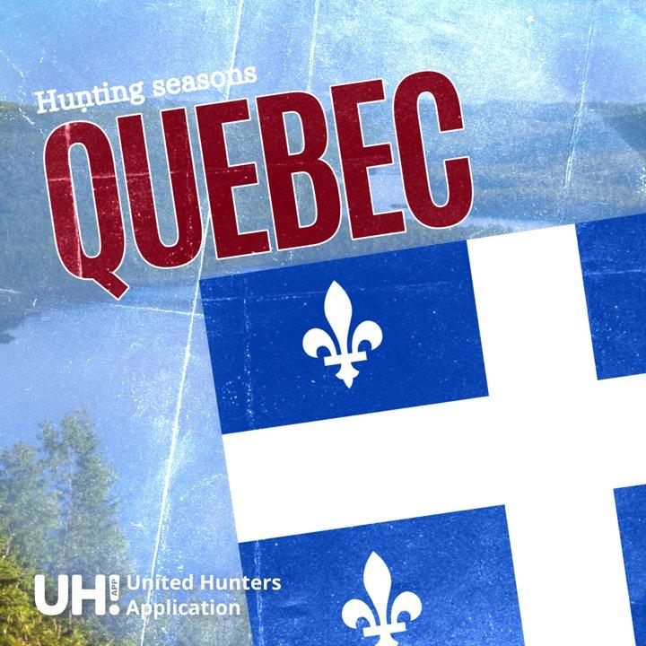 Hunting Seasons in Quebec, Canada 2025–26: Big Game and Small Game, Licenses, and Regulations Guide