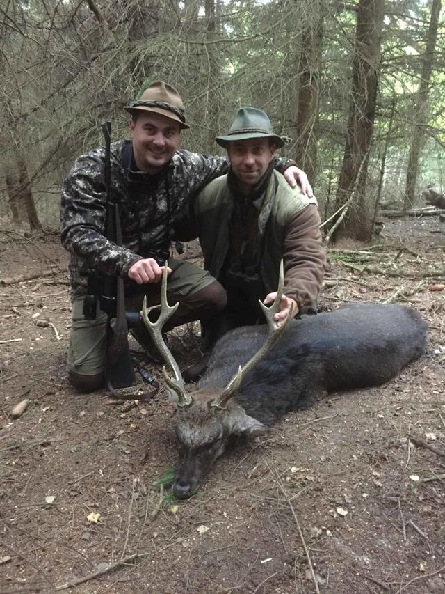 Jagd in Waidhofen an der Thaya: Wildvorkommen, Landschaft, <strong>Methoden</strong>, Rahmenbedingungen, Jägerschaft, Saisonablauf, Brauchtum, Fakten   