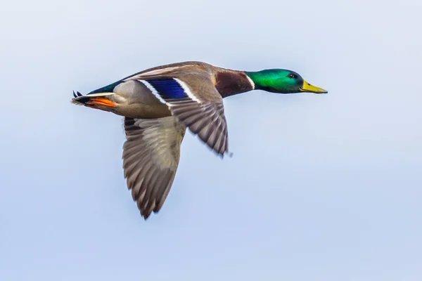 Photo from news post