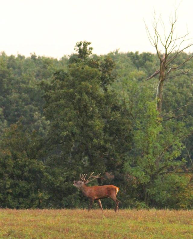 Photo from news post