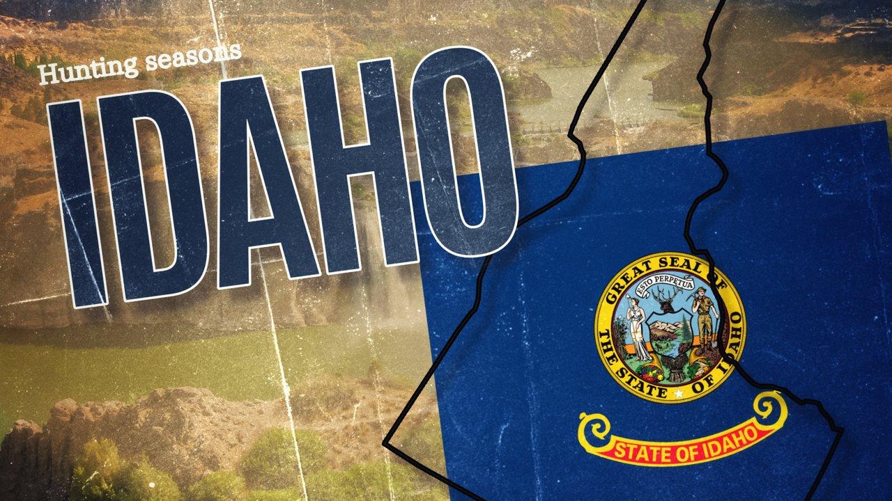 Idaho Hunting Season 2025: Big Game and Small Game, Licenses, and Regulations Guide
