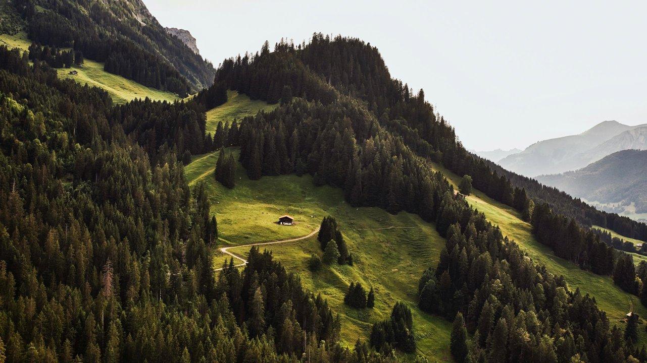Jagd im Bezirk Plessur (Kanton Graubünden), Schweiz: Merkmale, Jagdstrategien, Wildarten, Schonzeiten, Bevölkerung, Verbände, Vorschriften und Traditionen