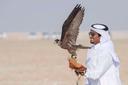 Desert hunting with the falcons of Abu Dhabi