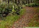 Each year, dozens of people get lost in the Mountains and become the subjects of search-and-rescue missions. In most cases, people simply wandered off of marked trails an