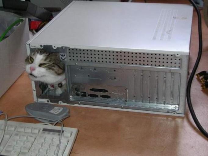 Photo from news post
