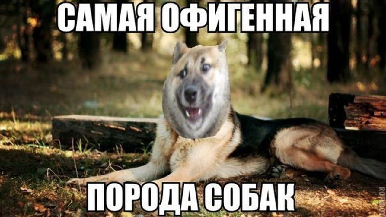 Photo from news post