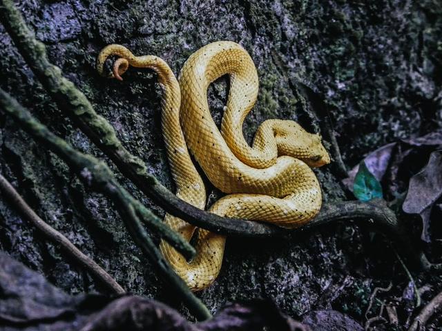 Photo from news post