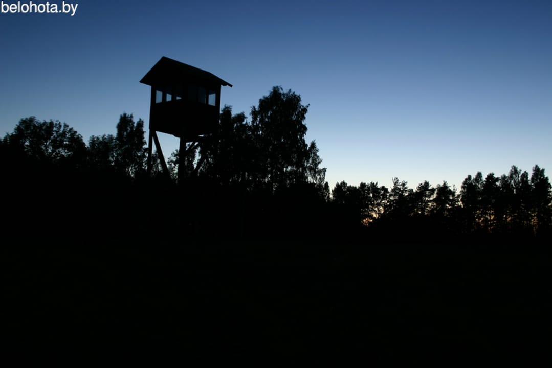 Photo from news post