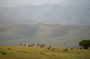 Övörkhangai Province, Mongolia: Demographics, Associations and Clubs, Laws and Hunting Seasons

Uvurkhangai Province, located in central Mongolia, is a prime destination 