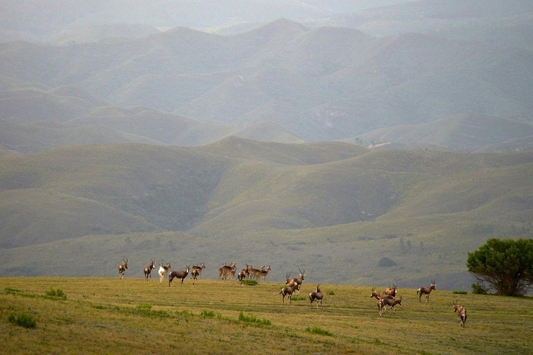 Övörkhangai Province, Mongolia: Demographics, Associations and Clubs, Laws and Hunting Seasons