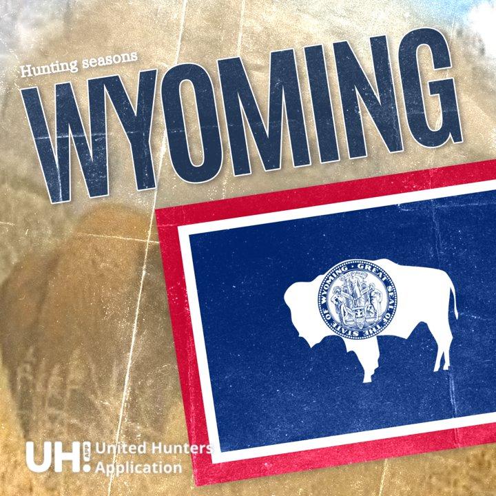 Hunting Seasons in Wyoming 2025: Big Game and Small Game, Licenses, and Regulations Guide