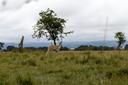 Visit the Ballycroy National Park in Ireland: A Hunter's Guide to Wild Mayo. Demographics, Associations and Clubs, Hunting Seasons and Laws

 
Ballycroy National Park, lo