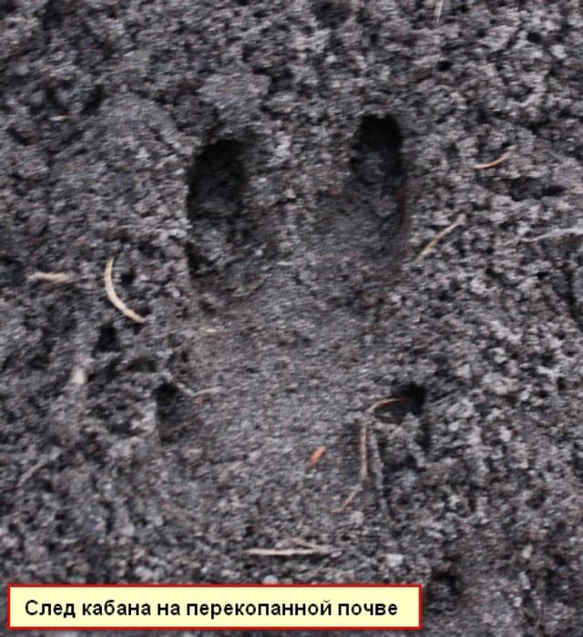 Photo from news post