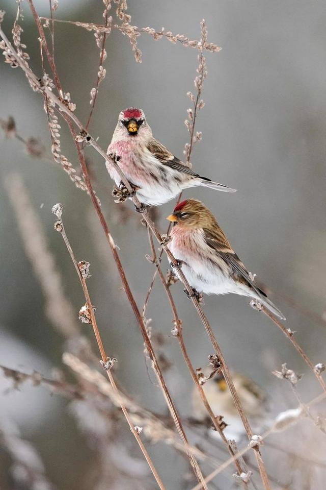 Photo from news post