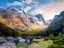 Fiordland National Park, New Zealand

Each year starting in the end of November and peaking in early December, fields of bright purple Russell Lupins bloom across New Zealand's South Island. One of the most beautiful spots to go Lupin-spotting is in Fiordland National Park, home to the equally gorgeous Milford Sound.