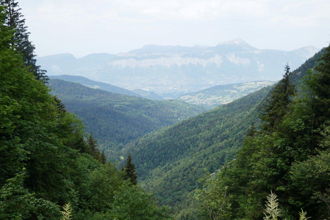 Jagd in Eschen, Liechtenstein: Natur, Traditionen, Wissenswertes, Jagdmethoden, Saisonregeln, Gemeinschaften und Gesetze  