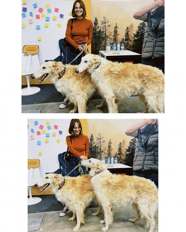 Photo from news post