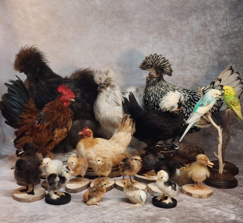 Photo from news post