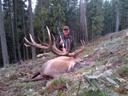 Carpathian red stag hunting in Romania with Pannonvad .Weight of the antlers up to 7 kg   1.200 EUR , 8 kg   2.110 EUR , 9 kg  2.710 EUR , 10 kg  3.510 EUR . Hunting in H