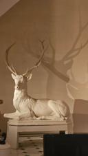 Cerf tronant à l'entrée  de l'hôtel Choiseul ( hôtel Costes)