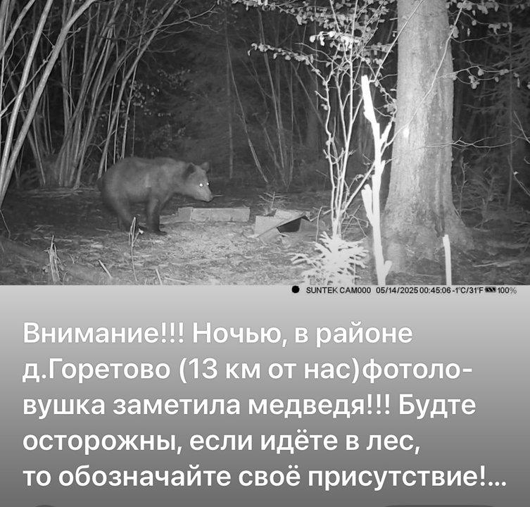 Photo from news post
