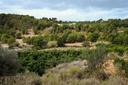 Caza en Aragón: Aventuras Cinegéticas en el Sistema Ibérico y los Pirineos con Especies Autóctonas y Terreno Variado

Aragón, ubicada en el noreste de España, es una regi