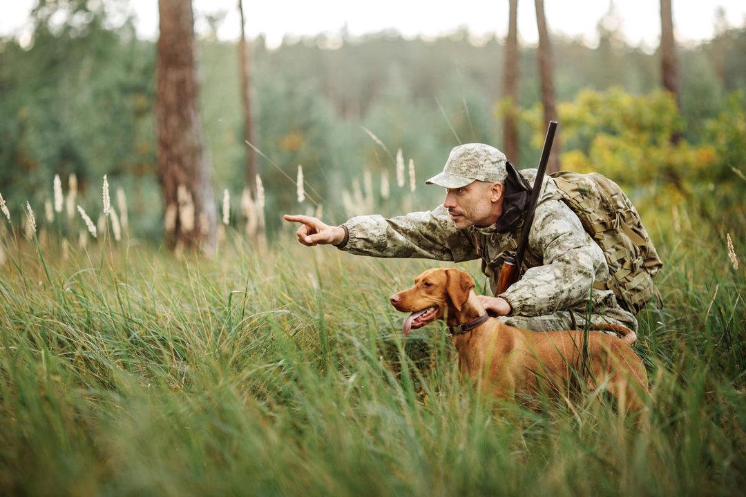 Jagd in der UCKERMARK: Geographische Besonderheiten, Jagdarten, Wildbestände, Jagdvereine, Organisationen und interessante Fakten zur Jagd