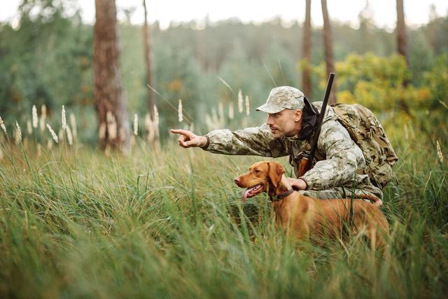 Jagd in der UCKERMARK: Geographische Besonderheiten, Jagdarten, Wildbestände, Jagdvereine, Organisationen und interessante Fakten zur Jagd