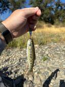 fishing this morning