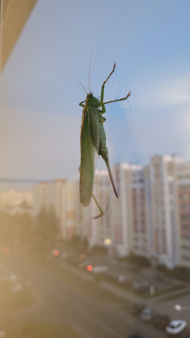 Photo from news post