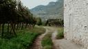 Caccia ai Confini del Parco del Pollino: Tradizione e Conservazione a Braccetto

Caratteristiche geografiche e naturali della regione dal punto di vista venatorio

Il Parco Nazionale del Pollino, situato tra Basilicata e Calabria, è il più grande parco nazionale d’Italia, con una superficie di oltre 192.000 ettari. Le montagne, le foreste di faggio e pino loricato, e le valli incontaminate offrono habitat ideali per specie come il cinghiale, il capriolo, il cervo e il lupo appenninico. Tuttavia, è importante sottolineare che la caccia è vietata all’interno del parco, poiché è un’area protetta dedicata alla conservazione della fauna e della flora. Le attività venatorie sono consentite solo nelle zone limitrofe, sotto stretto controllo e regolamentazione.

Demografia dei Cacciatori: Un Focus su Numero, Età, Sesso

Nelle aree circostanti il Parco del Pollino, sono registrati circa 3.000 cacciatori, secondo i dati dell’Associazione Nazionale Cacciatori (Federcaccia). La maggior parte dei cacciatori sono uomini di età compresa tra i 40 e i 70 anni, con una forte presenza nelle comunità locali. La caccia è un’attività tradizionale, ma deve essere praticata nel rispetto delle normative che proteggono il parco e le sue specie.

Caratteristiche della caccia

La caccia nelle zone limitrofe al Parco del Pollino è fortemente regolamentata per garantire la conservazione delle specie protette. Le attività venatorie si concentrano principalmente su cinghiali, lepri e fagiani, mentre la caccia ai grandi ungulati come cervi e caprioli è soggetta a rigidi controlli. L’uso di cani da seguita, come il Segugio Italiano, è comune per la caccia al cinghiale.

Tipi di caccia nella regione. Specie cacciabili

Nelle aree esterne al parco, si praticano principalmente:
Caccia al cinghiale: molto diffusa, spesso organizzata in battute collettive.
Caccia alla lepre e al fagiano: popolare nelle zone collinari e agricole.
Caccia al capriolo: consentita solo in determinate aree e con quote limitate.
Le specie principali sono: cinghiale, lepre, fagiano, capriolo e, in minor misura, volpe.

Stagioni venatorie nella regione

Le stagioni di caccia nelle zone limitrofe al Parco del Pollino sono regolate da leggi regionali e variano in base alla specie. Ad esempio:
Caccia al cinghiale: da ottobre a gennaio.
Caccia alla lepre e al fagiano: dalla terza domenica di settembre a fine dicembre.
Caccia al capriolo: da settembre a dicembre (solo maschi).
Le date esatte possono cambiare ogni anno, quindi è fondamentale consultare il calendario venatorio regionale.

Associazioni e club di cacciatori nella regione

Nelle aree circostanti il parco operano diverse associazioni venatorie, tra cui Federcaccia Basilicata, Federcaccia Calabria, Arcicaccia e Libera Caccia. Queste organizzazioni promuovono la tutela dell’ambiente, la formazione dei cacciatori e la conservazione delle tradizioni venatorie. Organizzano anche eventi e gare di tiro per i soci.

Normative sulla caccia nella regione

La caccia nelle zone limitrofe al Parco del Pollino è regolamentata da leggi nazionali e regionali. Le principali norme includono:
Divieto assoluto di caccia all’interno del parco.
Obbligo di munizioni non tossiche nelle aree vicine al parco.
Quote annuali: 1.500 cinghiali e 500 caprioli.
Divieto di caccia notturna e uso di richiami elettronici.

Tradizioni Venatorie Regionali: Riti, Usi e Cultura Locale della Caccia

La caccia nelle zone limitrofe al Parco del Pollino è profondamente legata alla cultura locale. Le battute di caccia collettive, specialmente al cinghiale, sono un’occasione di socializzazione e condivisione. Al termine delle battute, è tradizione organizzare pranzi con piatti tipici come salsiccia di cinghiale e lagane e ceci, accompagnati da vini locali come l’Aglianico del Vulture.

Curiosità sulla caccia nella regione

Il Parco del Pollino è uno dei pochi luoghi in Italia dove è possibile osservare il pino loricato, una specie arborea rara e protetta.
Nelle zone limitrofe al parco, i cacciatori collaborano con le autorità per il controllo della popolazione di cinghiali, che può causare danni all’agricoltura.
Il Parco ospita il pino loricato , albero monumentale protetto, simbolo dell’area.
Nel 2020, è stato avviato il progetto Life Wolfalps per mitigare conflitti tra lupi e attività venatorie.
La zona è stata teatro della prima reintroduzione del cervo sardo in Italia continentale (2018).
La caccia nelle zone limitrofe al Parco del Pollino rappresenta un’attività che deve bilanciare tradizione e conservazione. Grazie all’impegno delle associazioni venatorie e dei cacciatori, questa pratica continua a essere valorizzata nel rispetto delle normative e della biodiversità.

#Pollino #CacciaESalvaguardia #BraccataTradizionale #SentieriDelCinghiale #VenatoriDelSud #CuoreDelPollino #LeggendeDiMontagna #TradizioniDiCaccia #FagianiEDintorni #SaporiDelCacciatore #QuotaCinghiale #NaturaETradizione #SulleOrmeDelCapriolo #SegugiInMontagna #SpiritoAppenninico #Italia