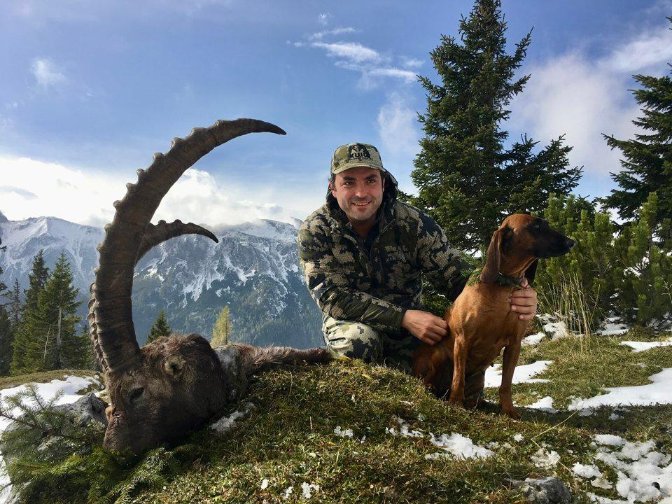 Die Jagd im Bezirk Tulln: Jäger, Naturräume, Fauna, Zeitfenster, Techniken, Regelungen, Jagdgepflogenheiten, Strukturen, Kuriositäten            