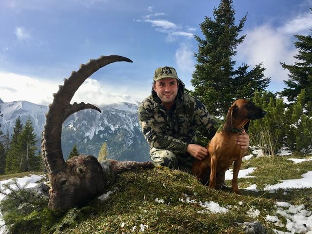 Die <strong>Jagd</strong> im Bezirk Tulln: Jäger, Naturräume, Fauna, Zeitfenster, Techniken, Regelungen, Jagdgepflogenheiten, Strukturen, Kuriositäten            