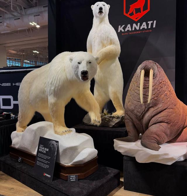Photo from news post