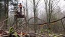 Jagd im PFÄLZERWALD: Geographische Besonderheiten aus jagdlicher Sicht, Jäger und Demografie der Region und interessante Fakten zur Jagd

Geographische und natürliche Besonderheiten des Pfälzerwaldes aus jagdlicher Sicht

Der Pfälzerwald erstreckt sich über etwa 1.800 Quadratkilometer im Süden von Rheinland-Pfalz und bildet das größte zusammenhängende Waldgebiet Deutschlands. Seine dichten Mischwälder, sanften Hügel und tiefen Täler bieten ideale Lebensräume für eine Vielzahl von Wildarten. Die abwechslungsreiche Landschaft ermöglicht eine anspruchsvolle Jagd, die sowohl Erfahrung als auch Präzision erfordert. Besonders hervorzuheben ist der Bienwald, ein etwa 120 km² großes Waldgebiet in der Rheinebene, das als FFH-Schutzgebiet ausgewiesen ist und eine hohe Biodiversität aufweist.

Jäger und Demografie der Region

In Rheinland-Pfalz sind über 30.000 Jäger aktiv, die sich in verschiedenen Jagdvereinen und -gemeinschaften organisieren. Diese engagierten Mitglieder tragen zur Pflege der natürlichen Ressourcen bei und setzen sich für eine nachhaltige Bewirtschaftung der Wildbestände ein. Die Jagd im Pfälzerwald ist tief in der regionalen Kultur verwurzelt und wird von Generation zu Generation weitergegeben.

Besonderheiten der Jagd im Pfälzerwald

Die Jagd im Pfälzerwald zeichnet sich durch ihre Vielfalt und Tradition aus. Besonders hervorzuheben ist die Böhämmerjagd, eine historische Methode, bei der Bergfinken mit Blasrohren erlegt wurden. Diese Praxis, die bis ins 20. Jahrhundert zurückreicht, wird heute noch als kulturelles Erbe gepflegt und erinnert an die enge Verbindung zwischen Mensch und Natur in der Region.

Jagdarten und Wildtiere im Pfälzerwald

Im Pfälzerwald sind verschiedene Jagdarten üblich, darunter die Pirschjagd, Ansitzjagd und die Gesellschaftsjagd. Zu den häufig gejagten Wildarten zählen Schwarzwild, Rehwild, Feldhasen, Fasane, Raubwild wie Füchse und Waschbären sowie Vögel wie Tauben und Enten. Die dichten Wälder und die vielfältige Landschaft bieten ideale Bedingungen für eine abwechslungsreiche Jagd.

Jagdzeiten im Pfälzerwald

Die Jagdzeiten in Rheinland-Pfalz sind durch die Landesjagdverordnung geregelt. Für bestimmte Wildarten gelten ganzjährige Jagdzeiten, während andere nur in festgelegten Perioden bejagt werden dürfen. Es ist wichtig, sich über die aktuellen Jagdzeiten und Schonzeiten zu informieren, um gesetzliche Bestimmungen einzuhalten.

Jagdvereinigungen und Clubs im Pfälzerwald

Der Pfälzerwald-Verein e.V. ist eine zentrale Organisation für Jäger in der Region. Er bietet seinen Mitgliedern Unterstützung in jagdlichen Belangen, organisiert Schulungen und fördert den Austausch unter den Jägern. Zudem engagiert sich der Verein im Bereich Naturschutz und setzt sich für eine nachhaltige Bewirtschaftung der Wildbestände ein.

Jagdgesetzgebung im Pfälzerwald

Die Jagd im Pfälzerwald unterliegt dem Landesjagdgesetz Rheinland-Pfalz, das die Rahmenbedingungen für die Jagdausübung festlegt. Es regelt unter anderem die Zulassung zur Jagd, die Jagdzeiten, die Hegepflichten und den Umgang mit Wildtieren. Jäger müssen sich regelmäßig fort- und weiterbilden, um den gesetzlichen Anforderungen gerecht zu werden. Eine Novelle des Jagdgesetzes, die im April 2025 in Kraft treten soll, sieht unter anderem ein Verbot von bleihaltiger Munition und eine stärkere Ausrichtung der Jagd auf die Walderneuerung im Zuge des Klimawandels vor.

Traditionen der Region aus jagdlicher Sicht

Die Jagd im Pfälzerwald ist tief in der regionalen Kultur verwurzelt. Traditionelle Jagdhornbläsergruppen, Jagdhundewesen und das jährliche Hubertusfest sind Ausdruck des respektvollen Umgangs mit der Natur und des Brauchtums. Diese Traditionen fördern den Gemeinschaftssinn unter den Jägern und tragen zur Bewahrung der kulturellen Identität bei.

Interessante Fakten zur Jagd im Pfälzerwald

Die Region beherbergt eine Vielzahl von Wildarten, die in anderen Teilen Deutschlands selten sind. Jäger im Pfälzerwald legen großen Wert auf die Ausbildung ihrer Jagdhunde, die eine wichtige Rolle bei der Jagd spielen. Die Böhämmerjagd, eine historische Methode der Vogeljagd, wird heute noch als kulturelles Erbe gepflegt. Zudem engagieren sich die Jäger aktiv im Naturschutz und setzen sich für eine nachhaltige Bewirtschaftung der Wildbestände ein.