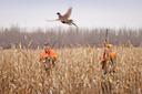 🦆 Did you know? Duck hunting is more than just a sport - it's an adventure in nature! Here are some quick facts:
Scouting is key: Successful hunters find the perfect spo