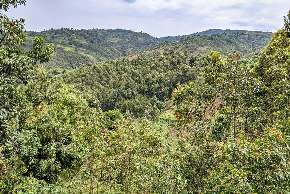 Hunting in Mai-Ndombe: Natural Environment, Local Hunting Culture, and Wildlife Diversity