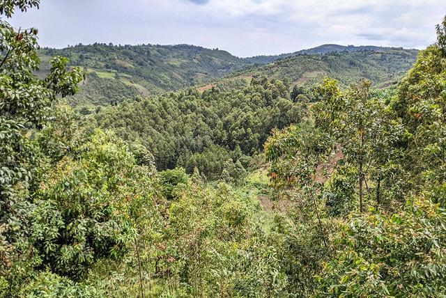 Hunting in Mai-Ndombe: Natural Environment, Local Hunting Culture, and Wildlife Diversity