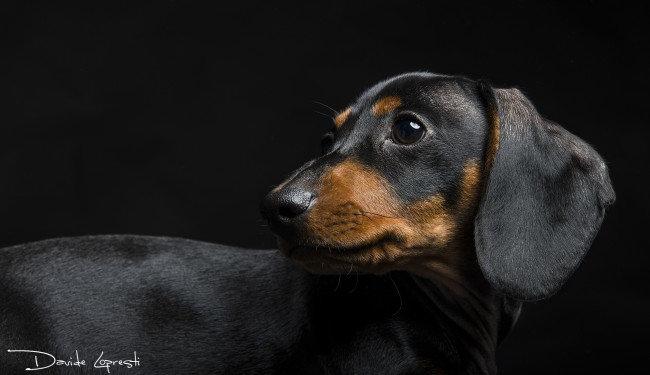 Photo from news post
