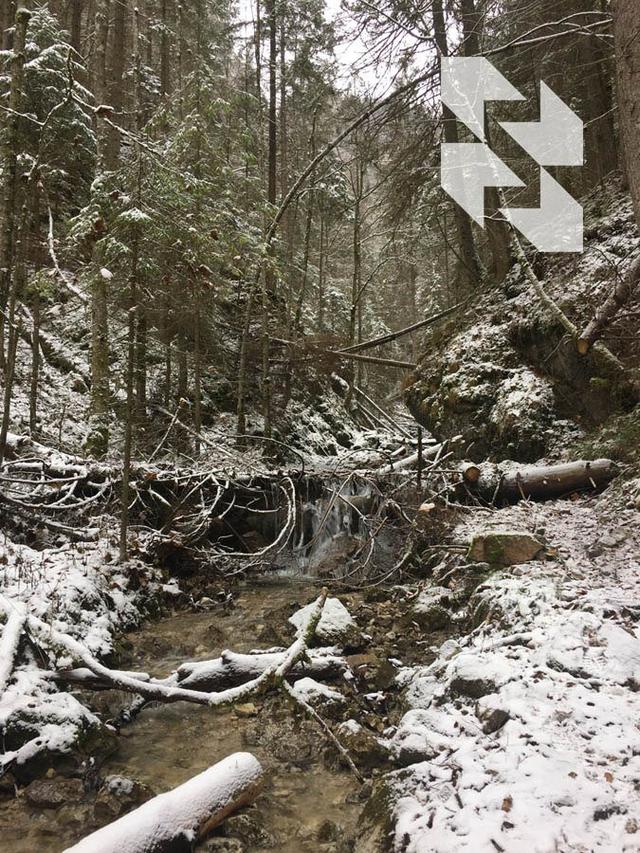 Photo from news post
