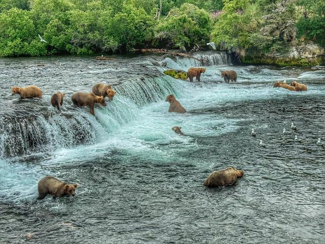 What I saw and photographed recently based out of Homer, Alaska.